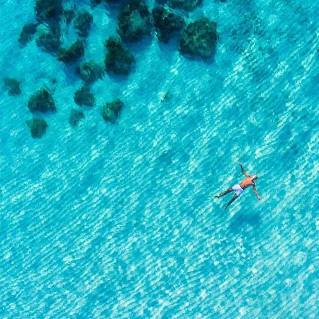 Petra Paralimni